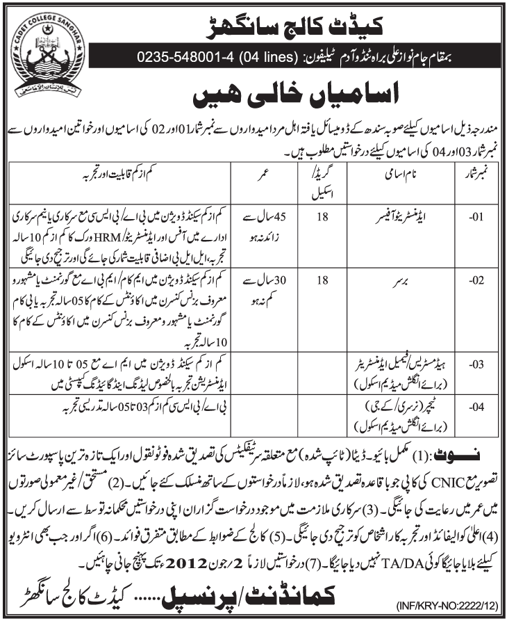 cadet college sanghar jobs 2012