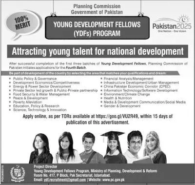 Young Development Fellows Program