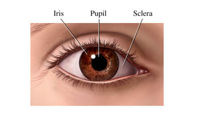 Glaucoma Symptoms