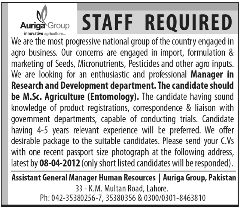 Auriga Group jobs Auriga Group jobs