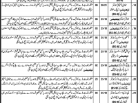 Doctor & Para Medical Staff Job Opportunity 2012 Jobs Pakistan