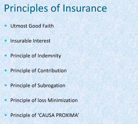 Principles of Insurance