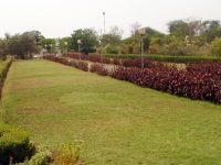 university of karachi