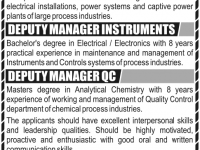 Deputy Manger Jobs in Rupali Group 2012