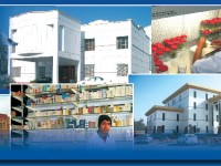 University of Sargodha BA BSc Result 2012