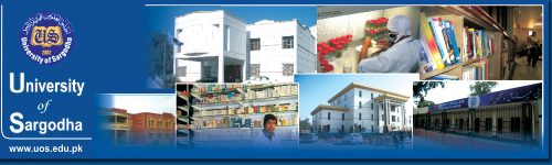 University of Sargodha BA BSc Result 2012