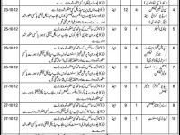 Government Health Department Punjab Jobs September 2012