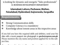 Express News Looking Sales Professional for Business Development