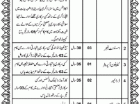 Trading Corporation of Pakistan Jobs