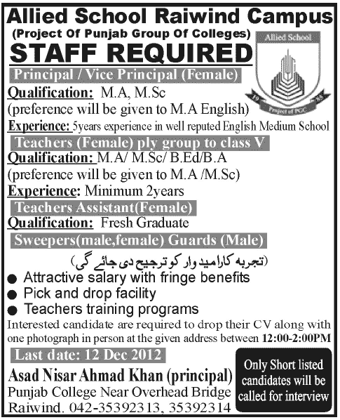 Allied School Raiwind Campus Jobs December