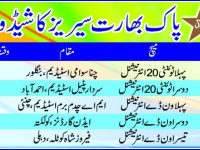 Pakistan VS India Cricket Series Schedule 2012-2013