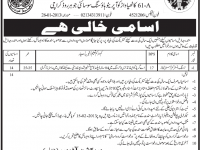 Jobs In Population Welfare Department Sindh Pakistan