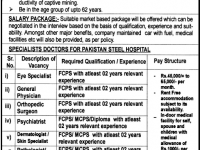 Pakistan Steel Jobs 16-January-2013