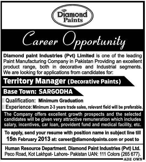 Diamond Paints Territory Manager Jobs in Sargodha Pakistan