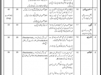 Jobs in Junior Naval Academy omarata 2013