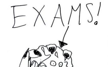 exams