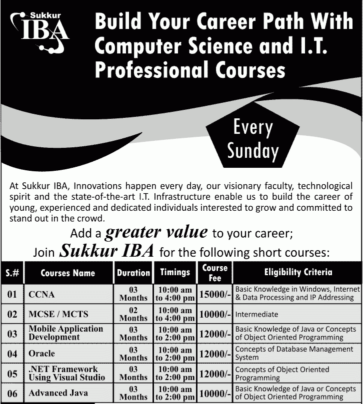 Institute of Business Administration Sukkur Offered Courses