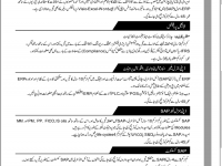 Pakistan State Oil PSO psopk.com Jobs April 2013