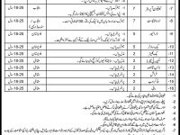 Federal Government Islamabad Jobs in Newspaper Pakistan 2013