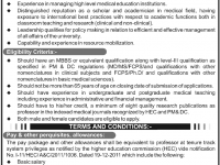 Vice Chancellor Job in Shaheed zulfiqar Ali Bhutto University