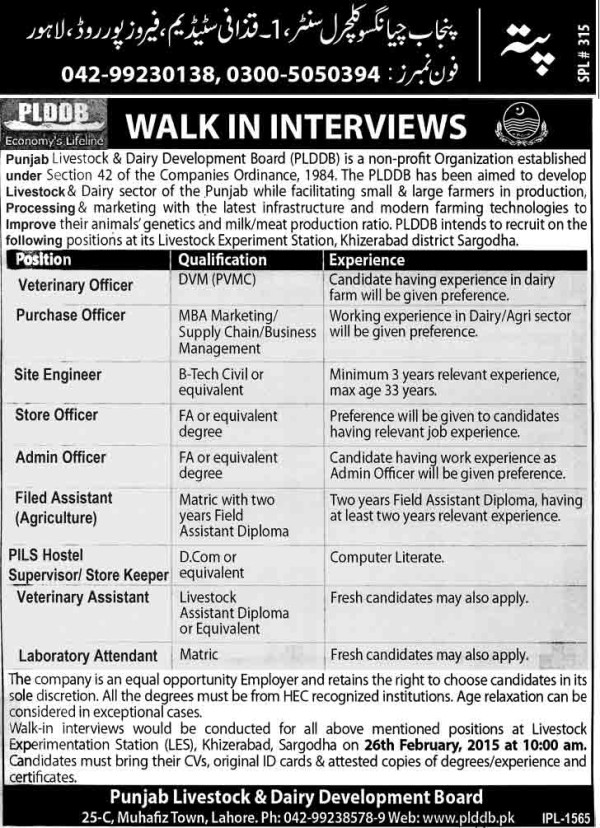 jobs-in-punjab-daily-development