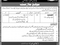 Accountant Jobs in Ministry of Textile Industry Karachi 2013