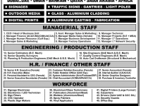Employment Opportunities for Pakistanis June 2013