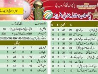 Pakistan vs South Africa scorecard 10-June-2013