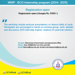 UCP internship program 2014