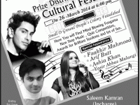 IMIT college festival 2014