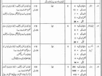 NTS-Inspectorate-of-Prisons-Punjab-Jobs