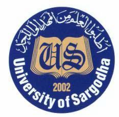 University-of-sargodha