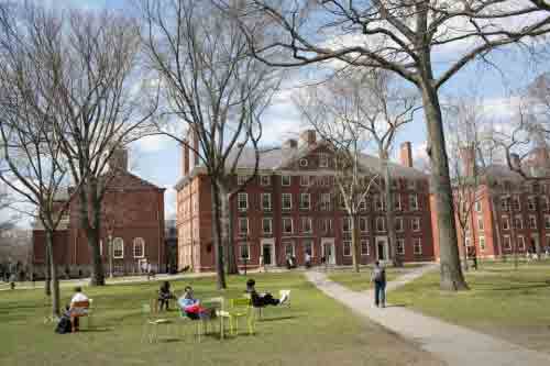 harvard-university