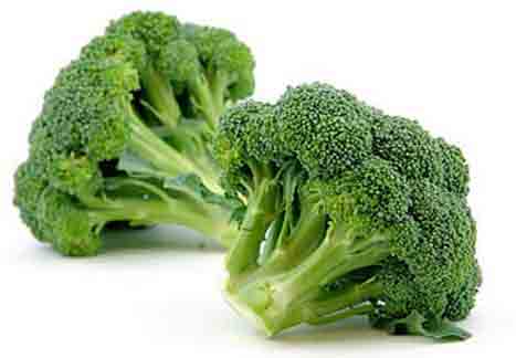 broccoli broccoli