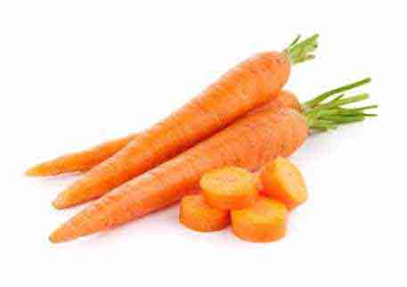 carrot