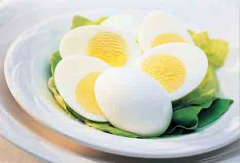 egg egg