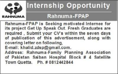 Rahnuma Internship Program