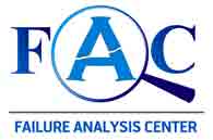 fac-Training-Program-by-IST