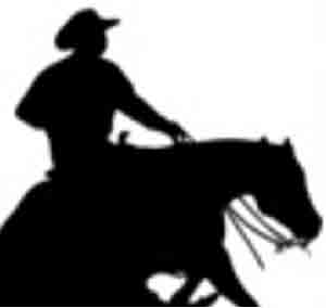 The-damage-horseshoe-Story