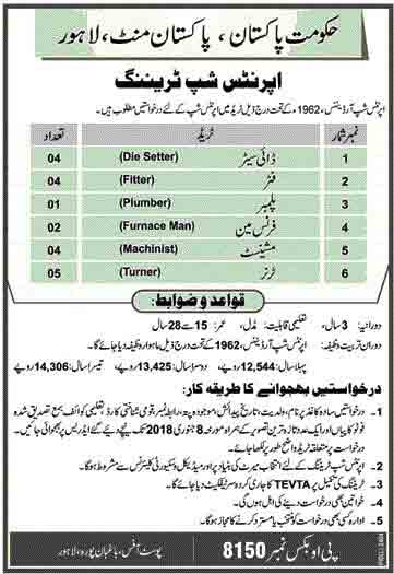 Mint-Lahore-Internship-Training-Program