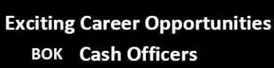 Cash Officer Jobs in Bank of khyber 2024