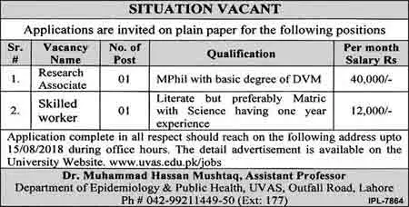 UVAS Lahore Jobs Research Associate