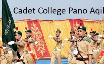 Cadet-College-Pano-Aqil-Admissions