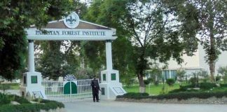Pakistan-Forest-Institute-Admissions