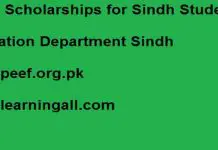 PEEF-Sindh-Scholarships-2021