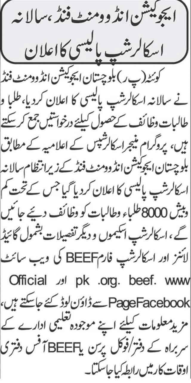 BEEF-Scholarship-2023