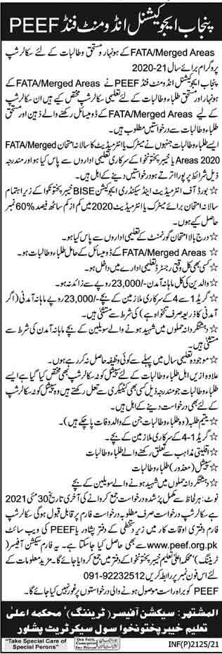 peef-scholarship-fata-2021