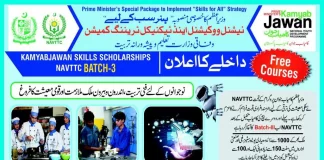 PM Skills Scholarship 2022