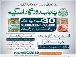Punjab Apna Rozgar Scheme 2022