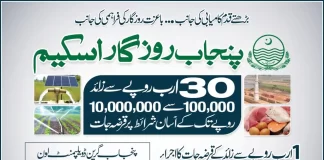 Punjab Apna Rozgar Scheme 2023